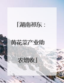 湖南祁东：黄花菜产业助农增收