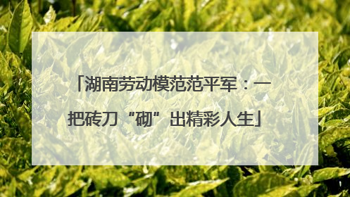 湖南劳动模范范平军：一把砖刀“砌”出精彩人生