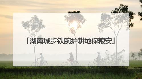 湖南城步铁腕护耕地保粮安