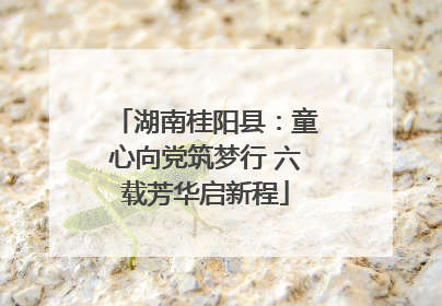 湖南桂阳县：童心向党筑梦行 六载芳华启新程