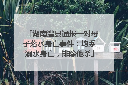 湖南澧县通报一对母子落水身亡事件：均系溺水身亡，排除他杀