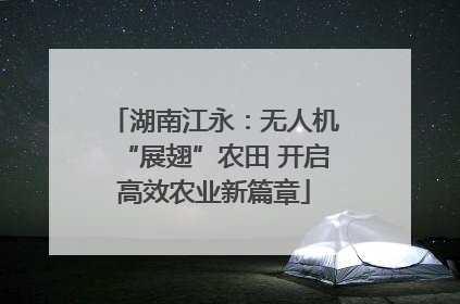 湖南江永：无人机“展翅”农田 开启高效农业新篇章