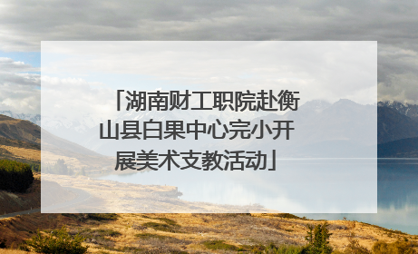 湖南财工职院赴衡山县白果中心完小开展美术支教活动