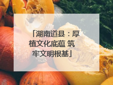 湖南道县：厚植文化底蕴 筑牢文明根基
