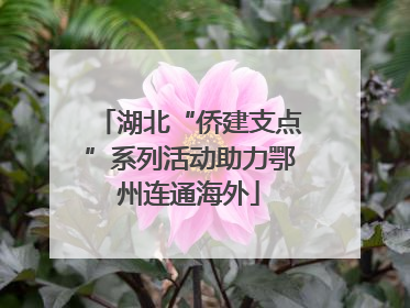 湖北“侨建支点”系列活动助力鄂州连通海外