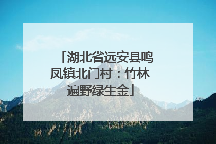 湖北省远安县鸣凤镇北门村：竹林遍野绿生金