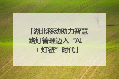 湖北移动助力智慧路灯管理迈入“AI＋灯链”时代