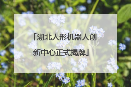 湖北人形机器人创新中心正式揭牌