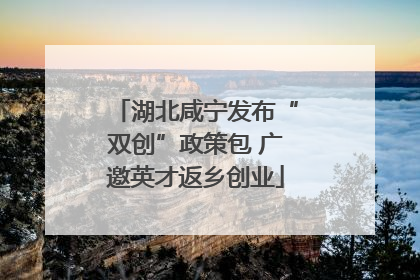 湖北咸宁发布“双创”政策包 广邀英才返乡创业