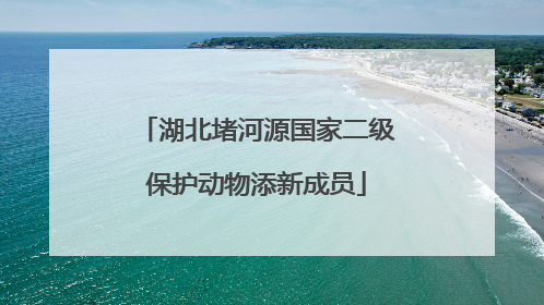 湖北堵河源国家二级保护动物添新成员