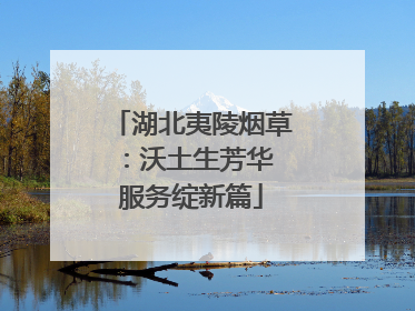 湖北夷陵烟草：沃土生芳华 服务绽新篇