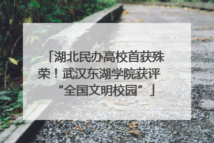 湖北民办高校首获殊荣！武汉东湖学院获评“全国文明校园”