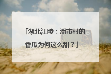 湖北江陵：潘市村的香瓜为何这么甜？