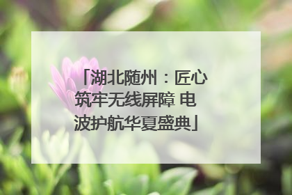 湖北随州：匠心筑牢无线屏障 电波护航华夏盛典