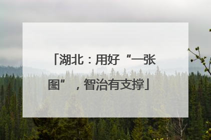 湖北：用好“一张图”，智治有支撑