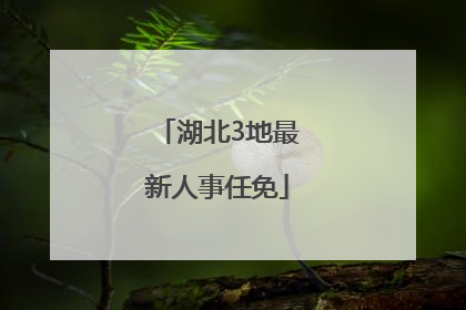 湖北3地最新人事任免