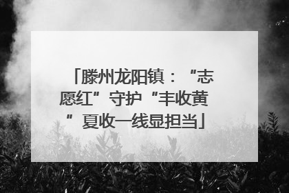 滕州龙阳镇：“志愿红”守护“丰收黄”夏收一线显担当