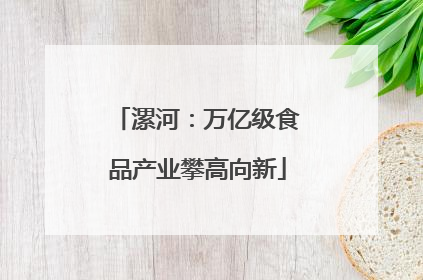 漯河：万亿级食品产业攀高向新