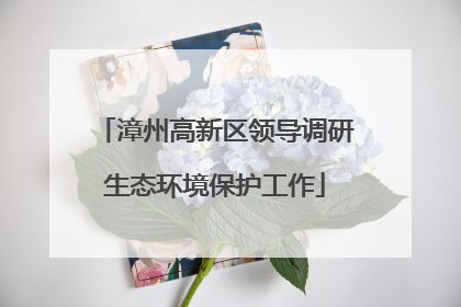 漳州高新区领导调研生态环境保护工作