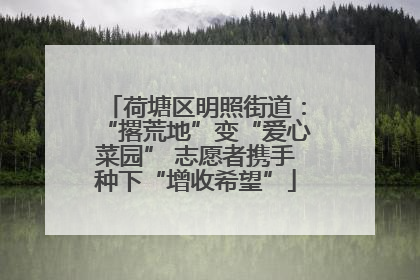 荷塘区明照街道：“撂荒地”变“爱心菜园” 志愿者携手种下“增收希望”