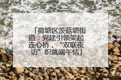 荷塘区茨菇塘街道：党建引领架起连心桥，“双联夜访”织就端午情