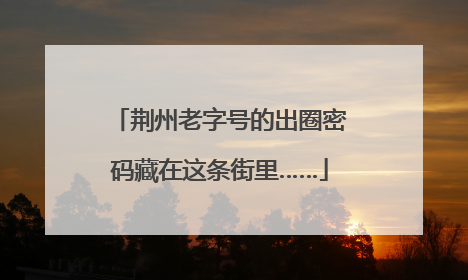荆州老字号的出圈密码藏在这条街里……