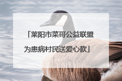 莱阳市菜哥公益联盟为患病村民送爱心款
