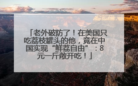 老外破防了！在美国只吃荔枝罐头的他，竟在中国实现“鲜荔自由”：8元一斤敞开吃！