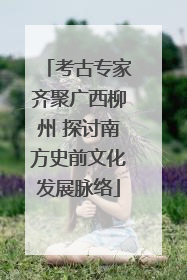 考古专家齐聚广西柳州 探讨南方史前文化发展脉络