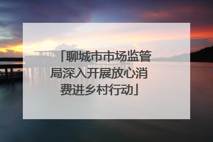 聊城市市场监管局深入开展放心消费进乡村行动