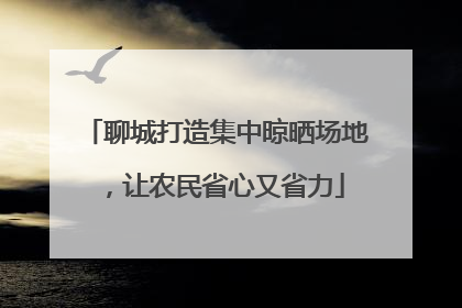 聊城打造集中晾晒场地，让农民省心又省力