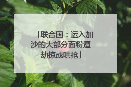 联合国：运入加沙的大部分面粉遭劫掠或哄抢