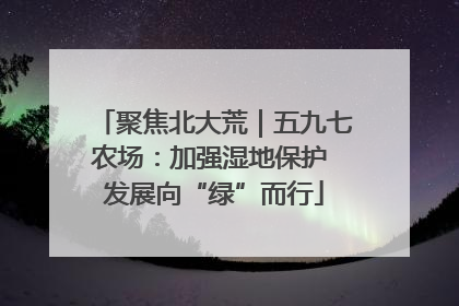 聚焦北大荒｜五九七农场：加强湿地保护 发展向“绿”而行