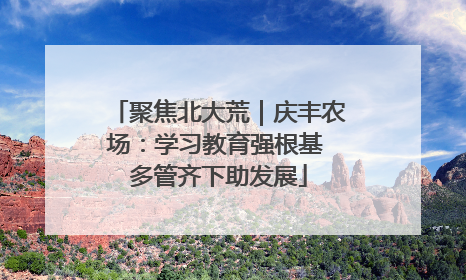 聚焦北大荒｜庆丰农场：学习教育强根基 多管齐下助发展