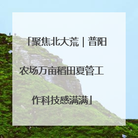 聚焦北大荒｜普阳农场万亩稻田夏管工作科技感满满