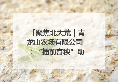聚焦北大荒｜青龙山农场有限公司：“插前寄秧”助力农业节本增效