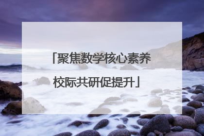 聚焦数学核心素养 校际共研促提升
