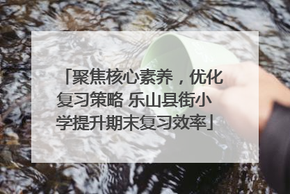 聚焦核心素养，优化复习策略 乐山县街小学提升期末复习效率