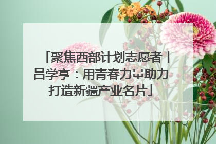 聚焦西部计划志愿者丨吕学亨：用青春力量助力打造新疆产业名片