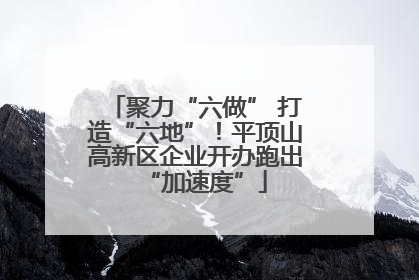 聚力“六做” 打造“六地”！平顶山高新区企业开办跑出“加速度”