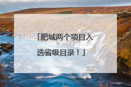 肥城两个项目入选省级目录！