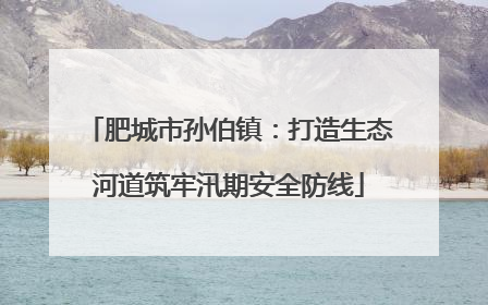 肥城市孙伯镇：打造生态河道筑牢汛期安全防线