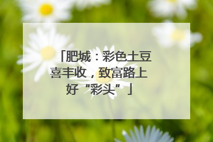 肥城：彩色土豆喜丰收，致富路上好“彩头”