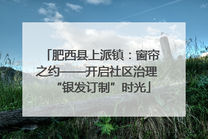 肥西县上派镇：窗帘之约——开启社区治理“银发订制”时光