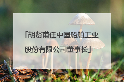 胡贤甫任中国船舶工业股份有限公司董事长