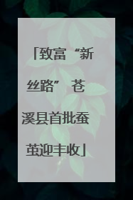 致富“新丝路” 苍溪县首批蚕茧迎丰收
