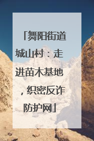 舞阳街道城山村：走进苗木基地，织密反诈防护网