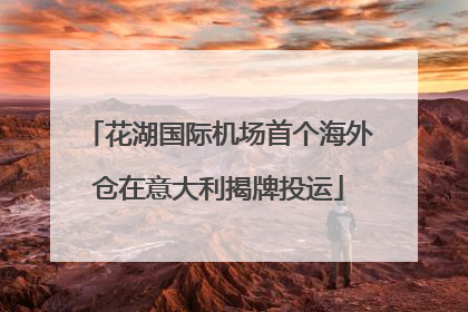 花湖国际机场首个海外仓在意大利揭牌投运
