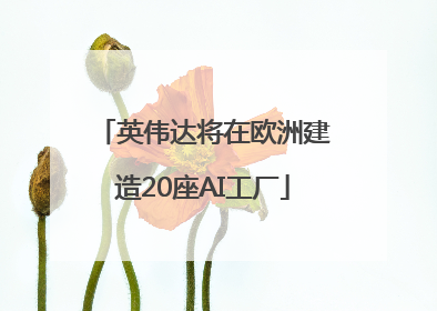 英伟达将在欧洲建造20座AI工厂