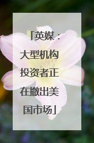 英媒：大型机构投资者正在撤出美国市场